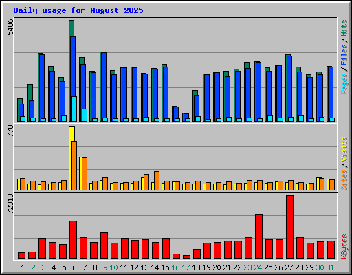 Daily usage for August 2025