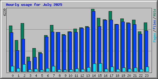 Hourly usage for July 2025